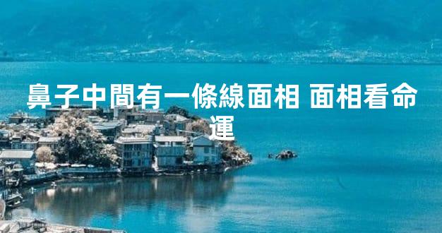 鼻子中間有一條線面相 面相看命運